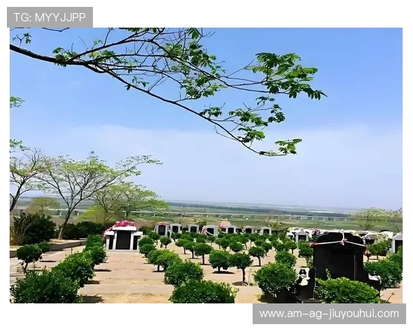 吉隆县足球场具体位置及周边交通指南介绍 吉隆县足球场具体位置及周边交通指南介绍