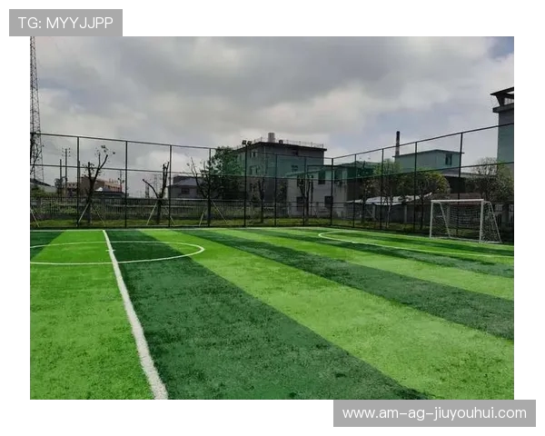 晨晖足球场租赁费用及相关服务介绍解析